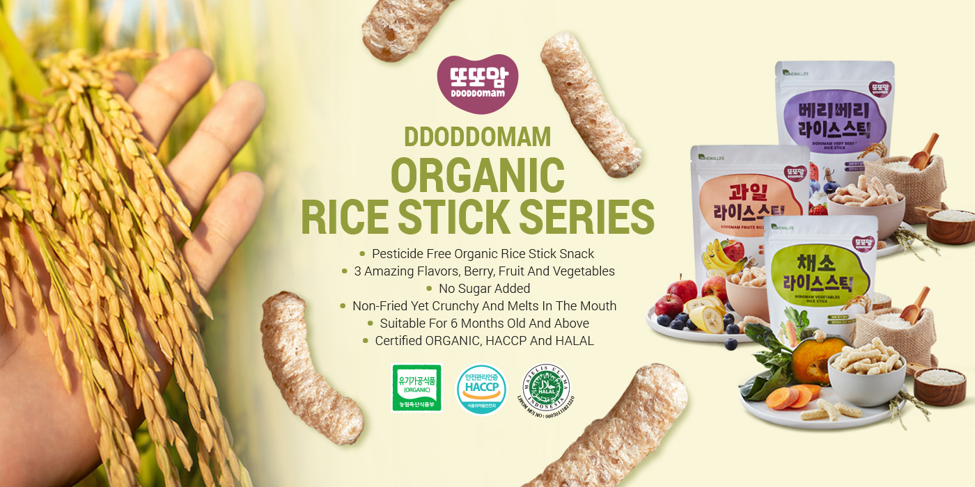 Renewallife DDODDOMAM Organic Rice Stick - Fruits