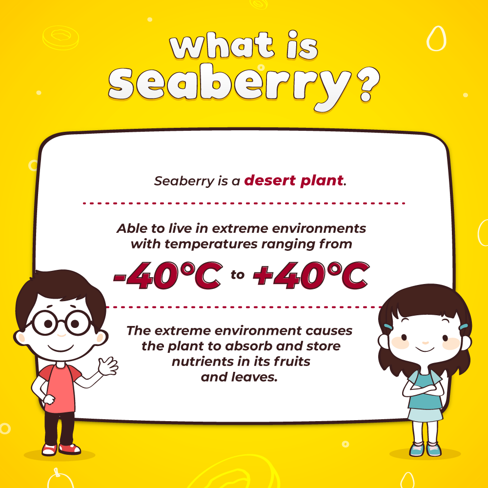 What is Seaberry? 1