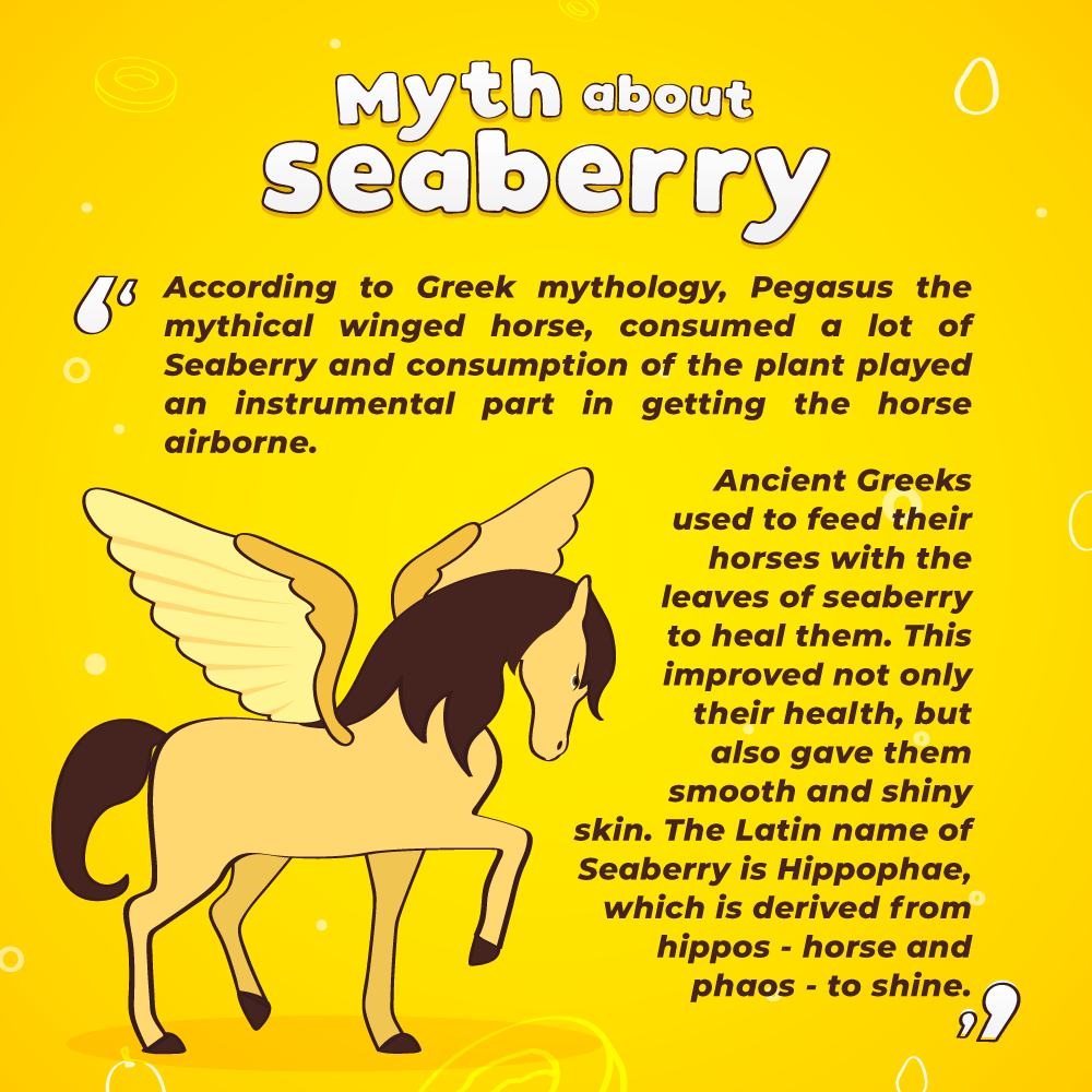 Seaberry Legend 2